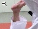 JUDO nach Ausbildung/Beruf usw wieder einsteigen - Vorschaubild 1
