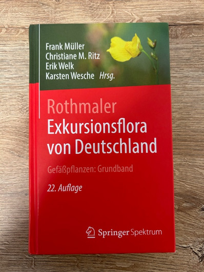 Rothmaler zum Ankauf