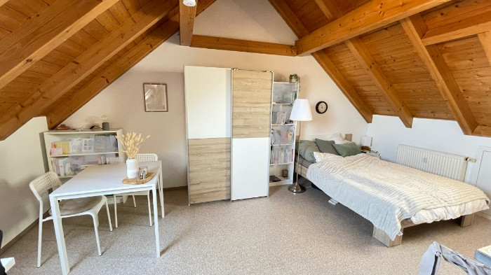 1-Zimmer-Appartement, mbliert