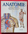 Anatomie - Wunderwerk Mensch