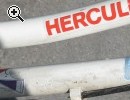 (18) 5 Gang Rcktrittsbremse 26 Zoll Rh 50 HERKULE - Vorschaubild 3