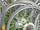 (12) Felgen Fahradfelg​en grosse Auswahl - Vorschaubild 1