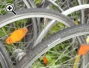 (12) Felgen Fahradfelg​en grosse Auswahl - Vorschaubild 2