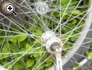 (12) Felgen Fahradfelg​en grosse Auswahl - Vorschaubild 3