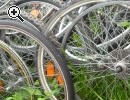 (12) Felgen Fahradfelg​en grosse Auswahl - Vorschaubild 4