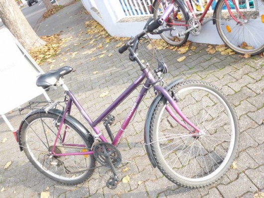 (154) 21 Gang FISCHER 21 Gang 26 Zoll Rh 51