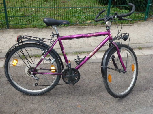 (122) 18 Gang 26 Zoll Rh 50