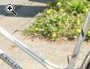 (75) 5 Gang Rcktrittsbremse 28 Zoll - Vorschaubild 2