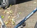 (6) 21 Gang 26 Zoll Rh 53 - Vorschaubild 1