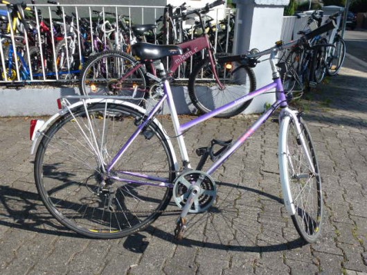 (137) 21 Gang 28 Zoll Rh 54