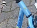 (34) 14 Zoll Rucktrittsbremse tiefer Einstieg - Vorschaubild 4