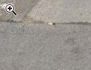 (130) PUKY ROLLER 12 Zoll - Vorschaubild 2
