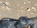 (55) 21 Gang 26 Zoll Rh 44 - Vorschaubild 3