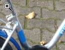 (108) POLIZEI 14 Zoll - Vorschaubild 1