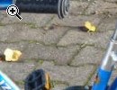(108) POLIZEI 14 Zoll - Vorschaubild 2