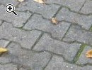 (118) PUKY ROLLER 10 ZOLL - Vorschaubild 1