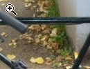 (63) 21 Gang 26 Zoll Rh 55 - Vorschaubild 2