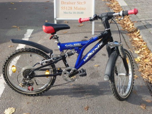 (99) 6 Gang 20 Zoll Gabel u Sattel gefedert