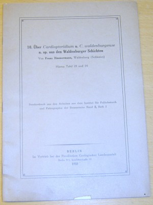 10. ber Cardiopteridium u. C. waldenburgense n. s