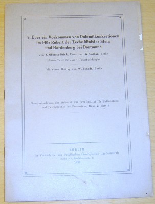 9. ber ein Vorkommen von Dolomitkonkretionen im F