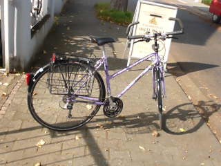 (25) 21 Gang DAWES 28 Zoll RH 50