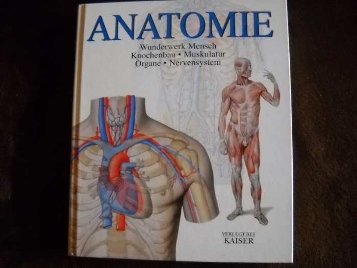 Buch Anatomie - Wunderwerk Mensch zu verkaufen