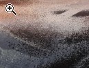Sessel und 2er Sofa abzugeben - Vorschaubild 2