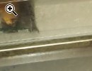 Kleiderschrank - Vorschaubild 3