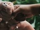 Teampartner gesucht / Looking for a teampartner - Vorschaubild 2