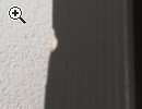 Ikea Vitrinenschrank dunkelbraun - Vorschaubild 2